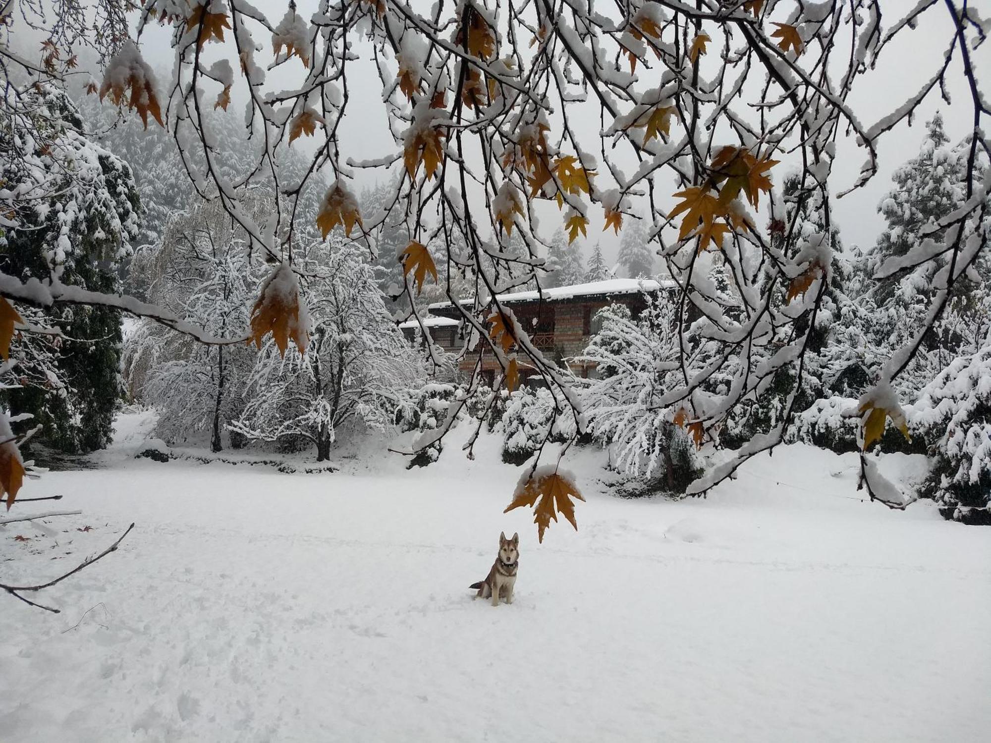 Banon Resorts Manāli Buitenkant foto