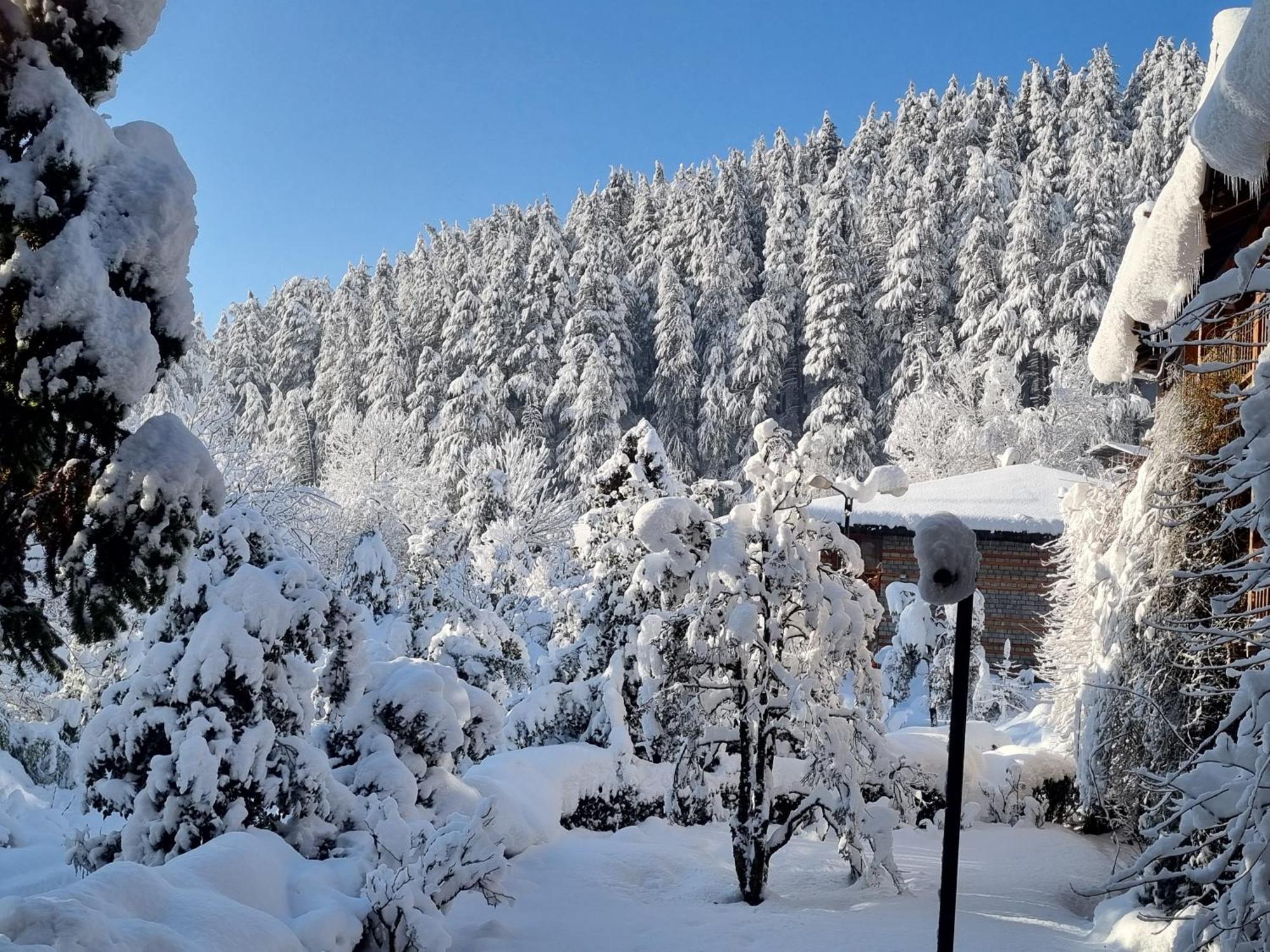 Banon Resorts Manāli Buitenkant foto