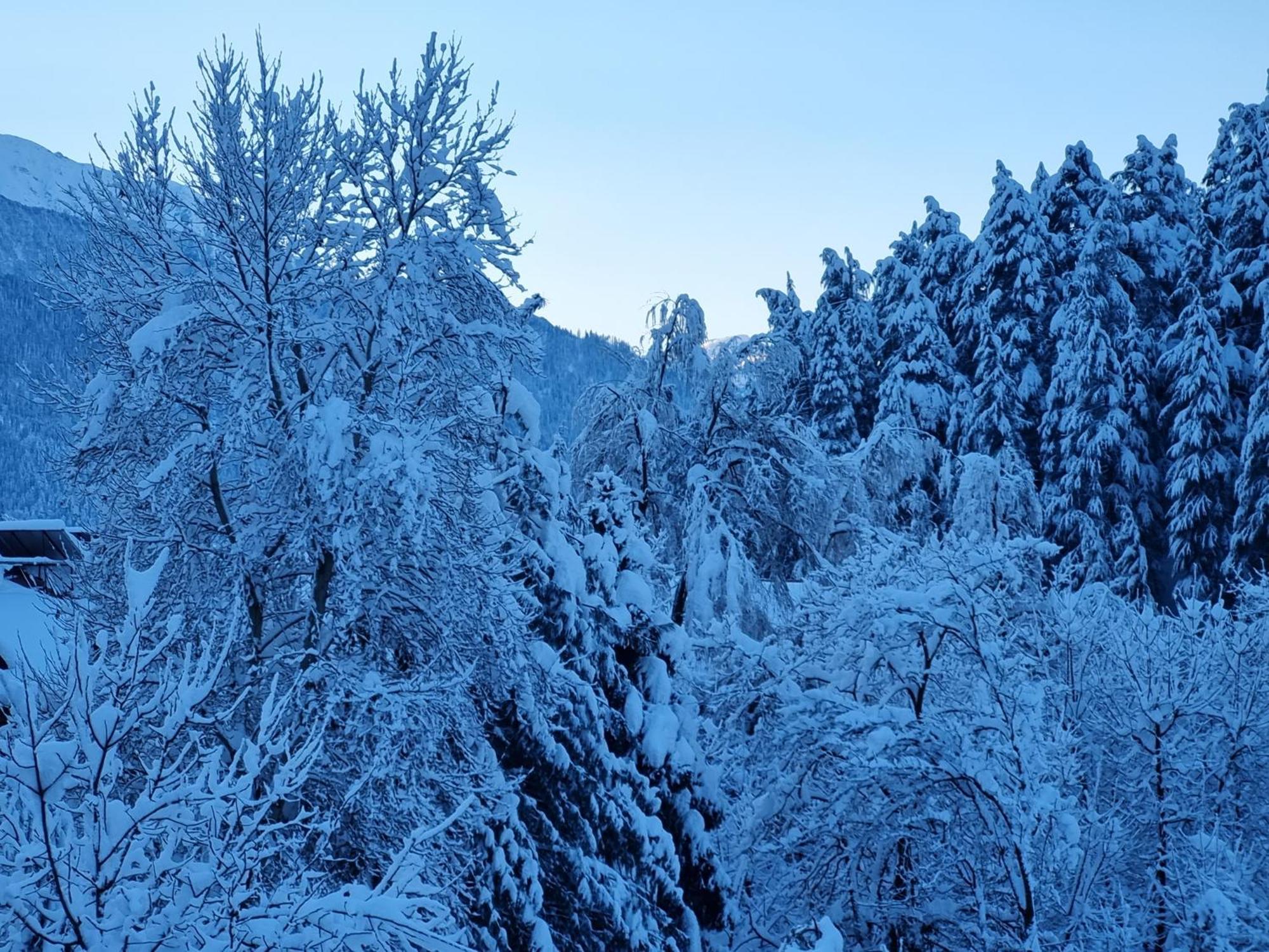 Banon Resorts Manāli Buitenkant foto